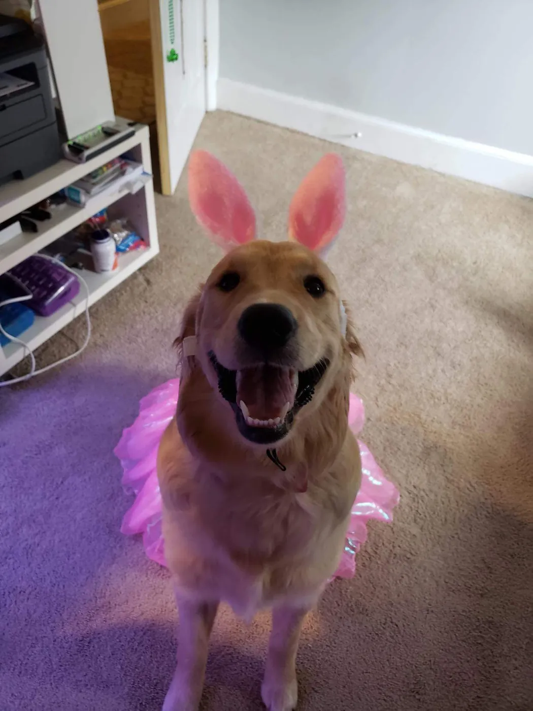 Carly at home in bunny ears and a pink tutu